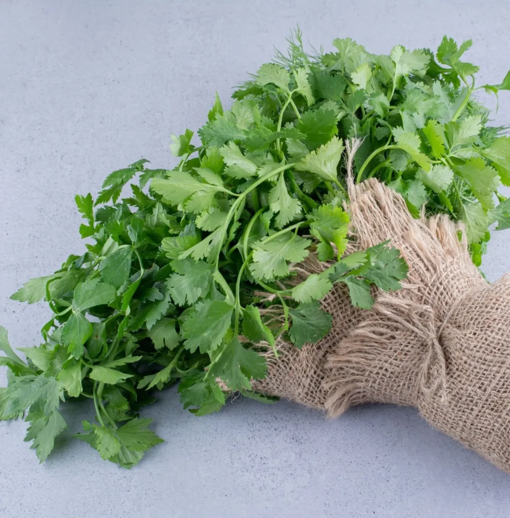 Come conservare il prezzemolo in frigorifero, nel freezer, sotto sale e sott’olio Come conservare il prezzemolo