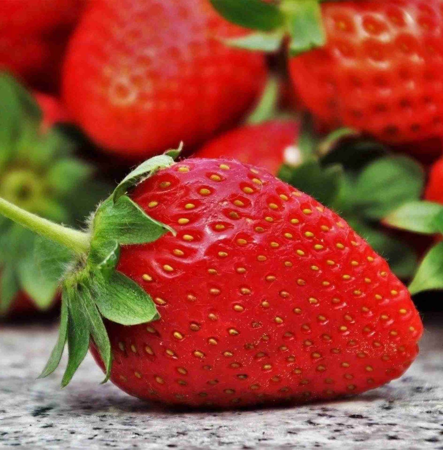 Come conservare le fragole con il congelamento, essiccazione e confetture Come conservare le fragole