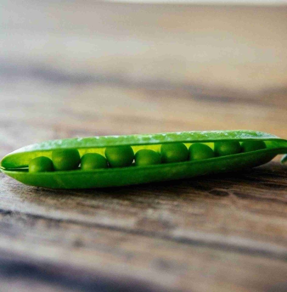 Come conservare i piselli: Al naturale, in frigo e tramite surgelazione Come conservare i piselli