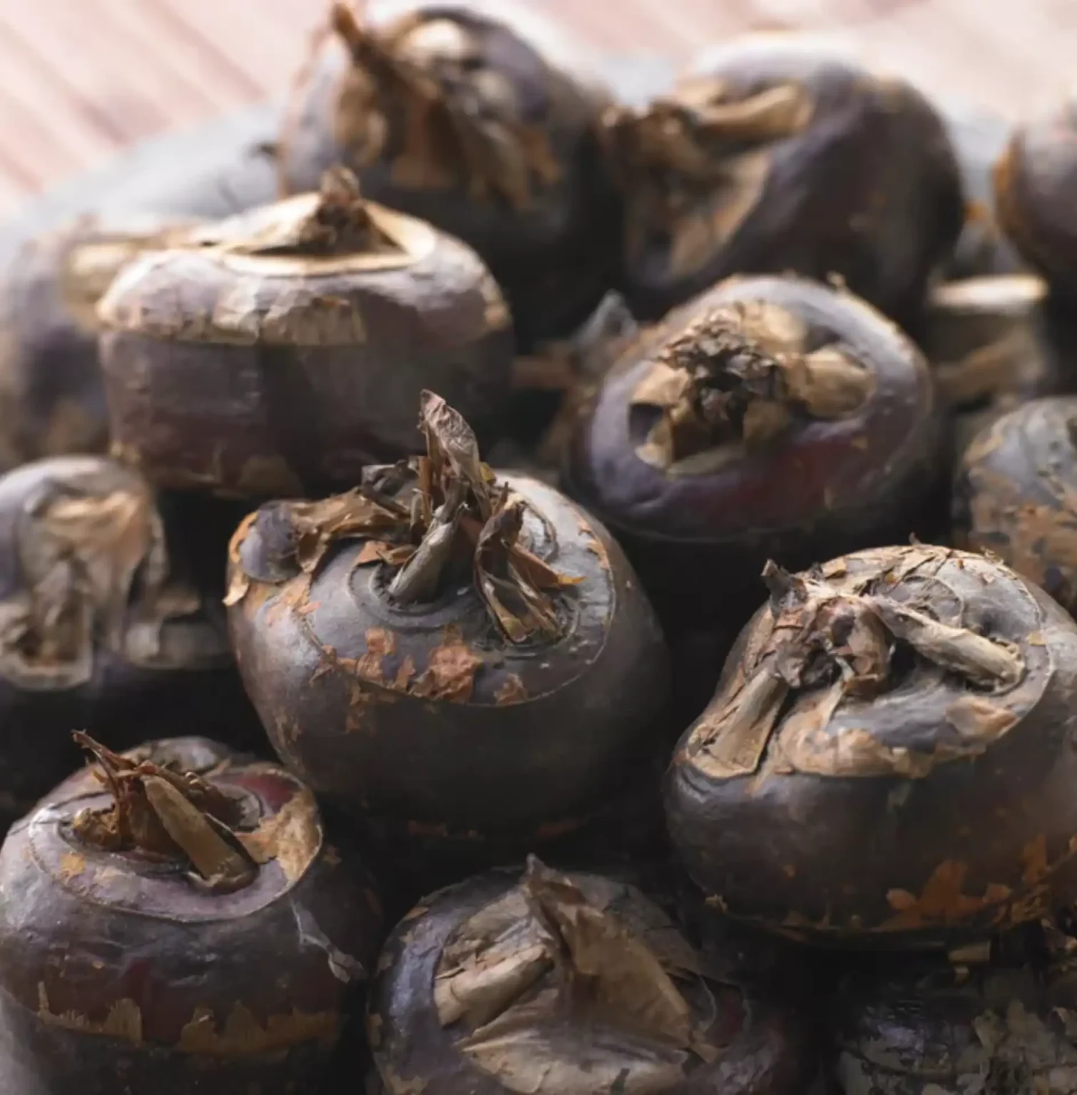 Castagne d’acqua Castagne d’acqua