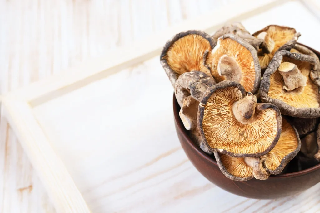 Come essiccare i funghi Come essiccare i funghi