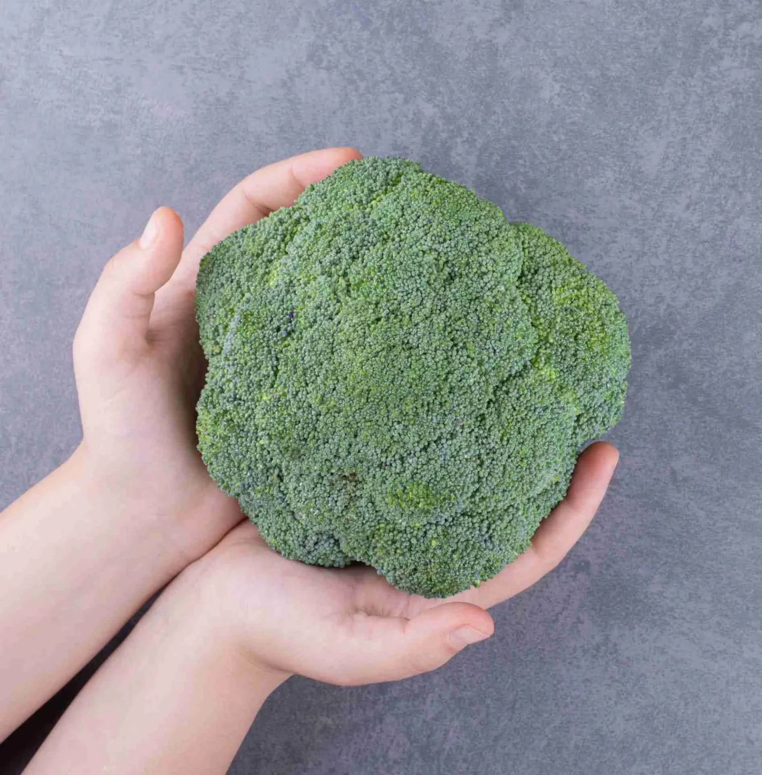 Come coltivare i broccoli Come coltivare i broccoli
