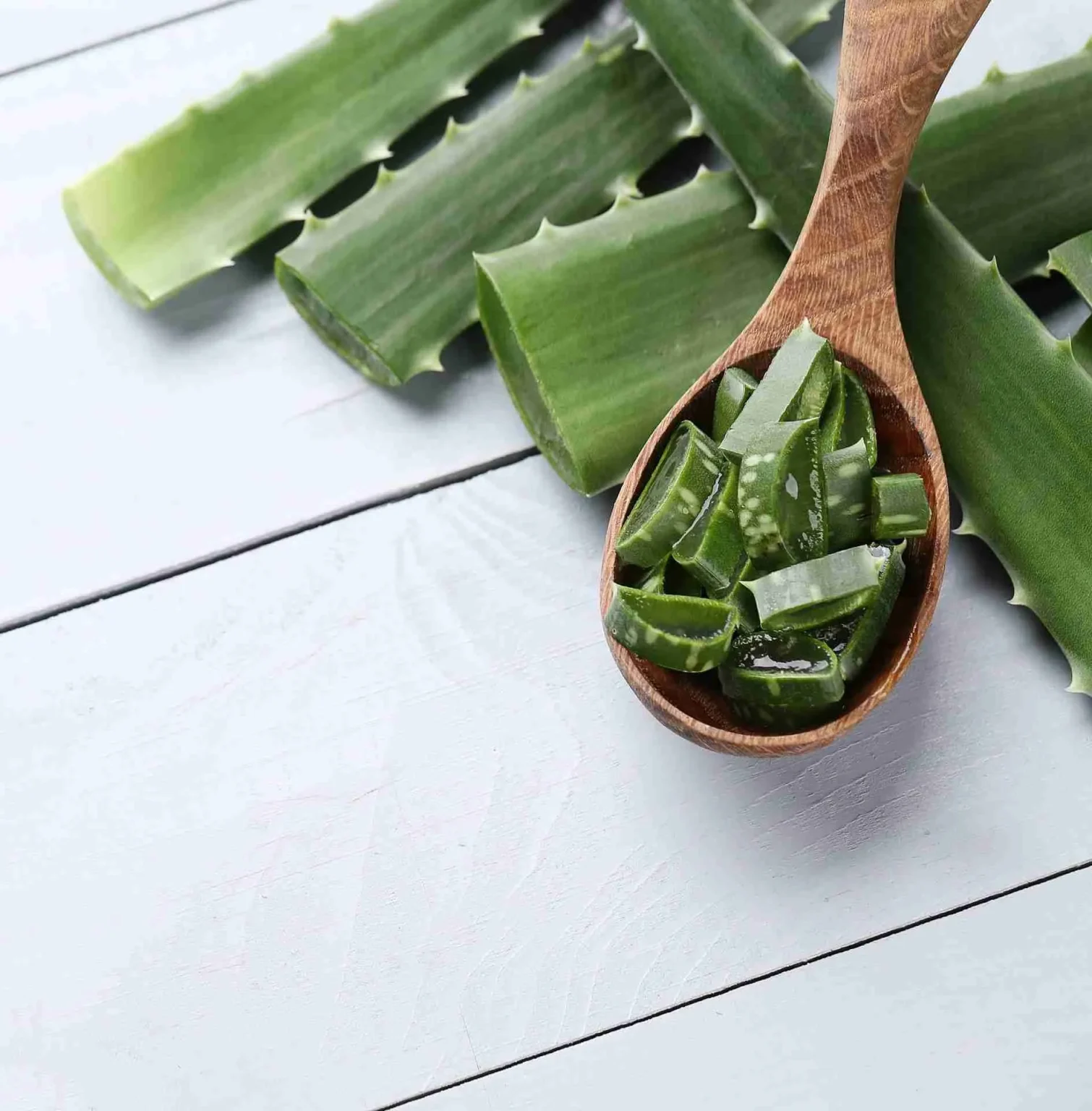 Come conservare aloe vera Come conservare aloe vera