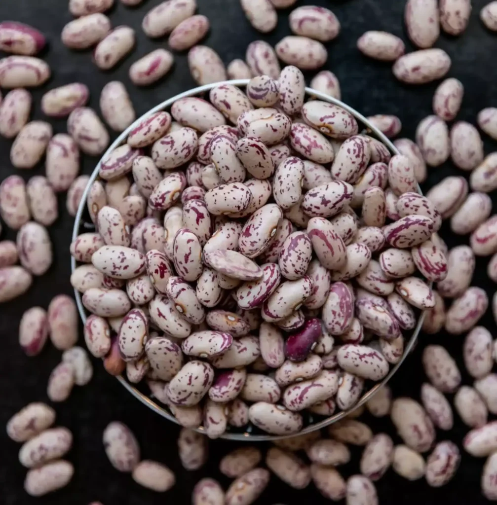 Semina fagioli borlotti Semina fagioli borlotti