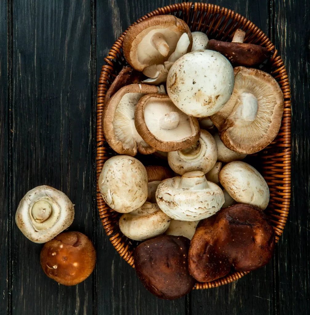 Come scongelare i funghi correttamente Come scongelare i funghi