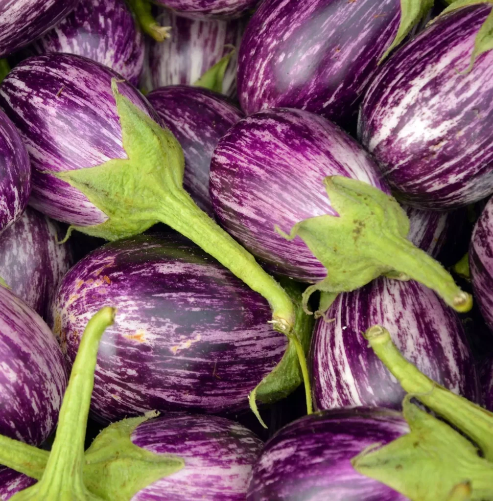 Melanzane striate: Idee di ricette semplici e veloci Melanzane striate