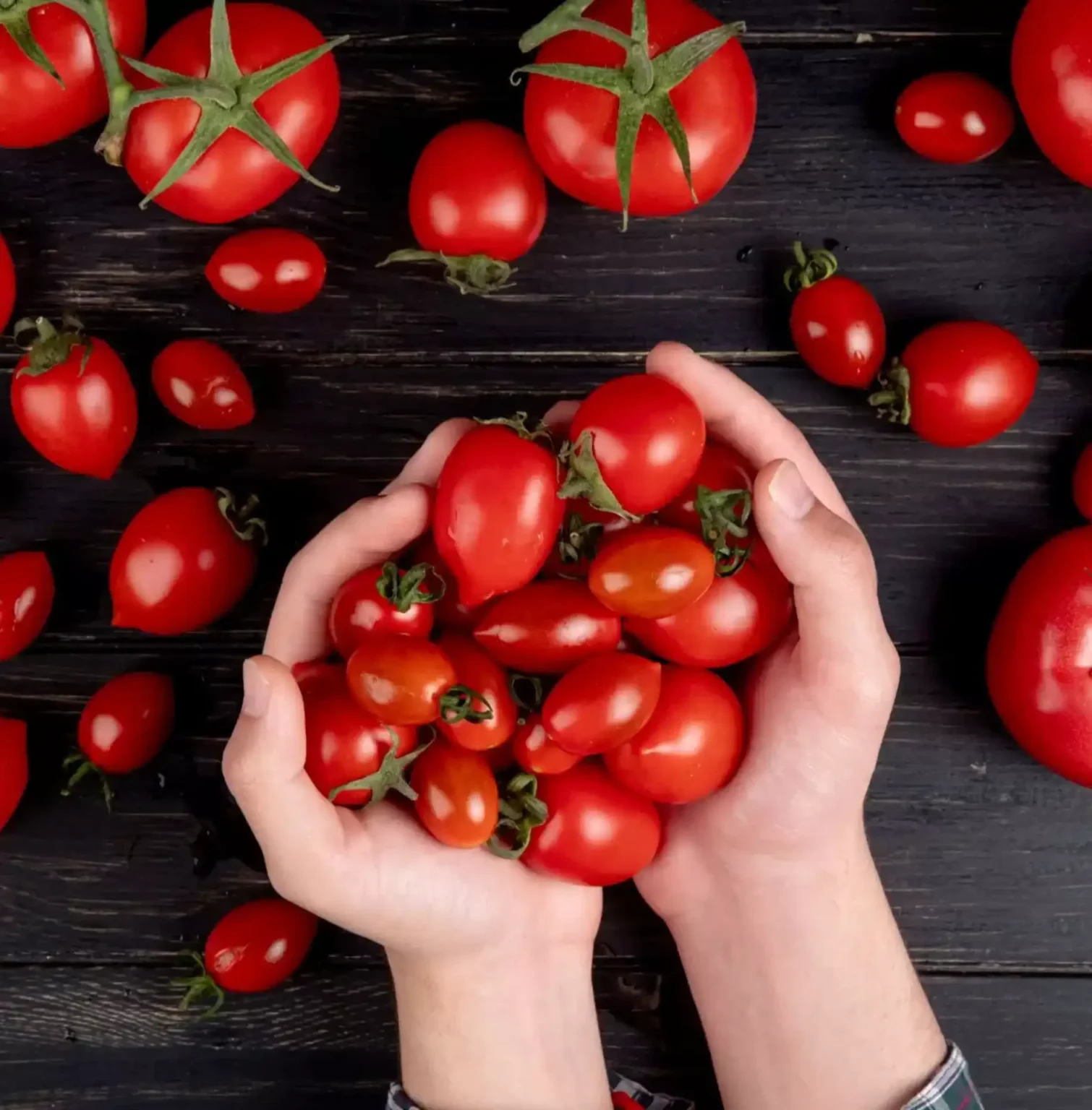 Come conservare i semi di pomodoro Come conservare i semi di pomodoro