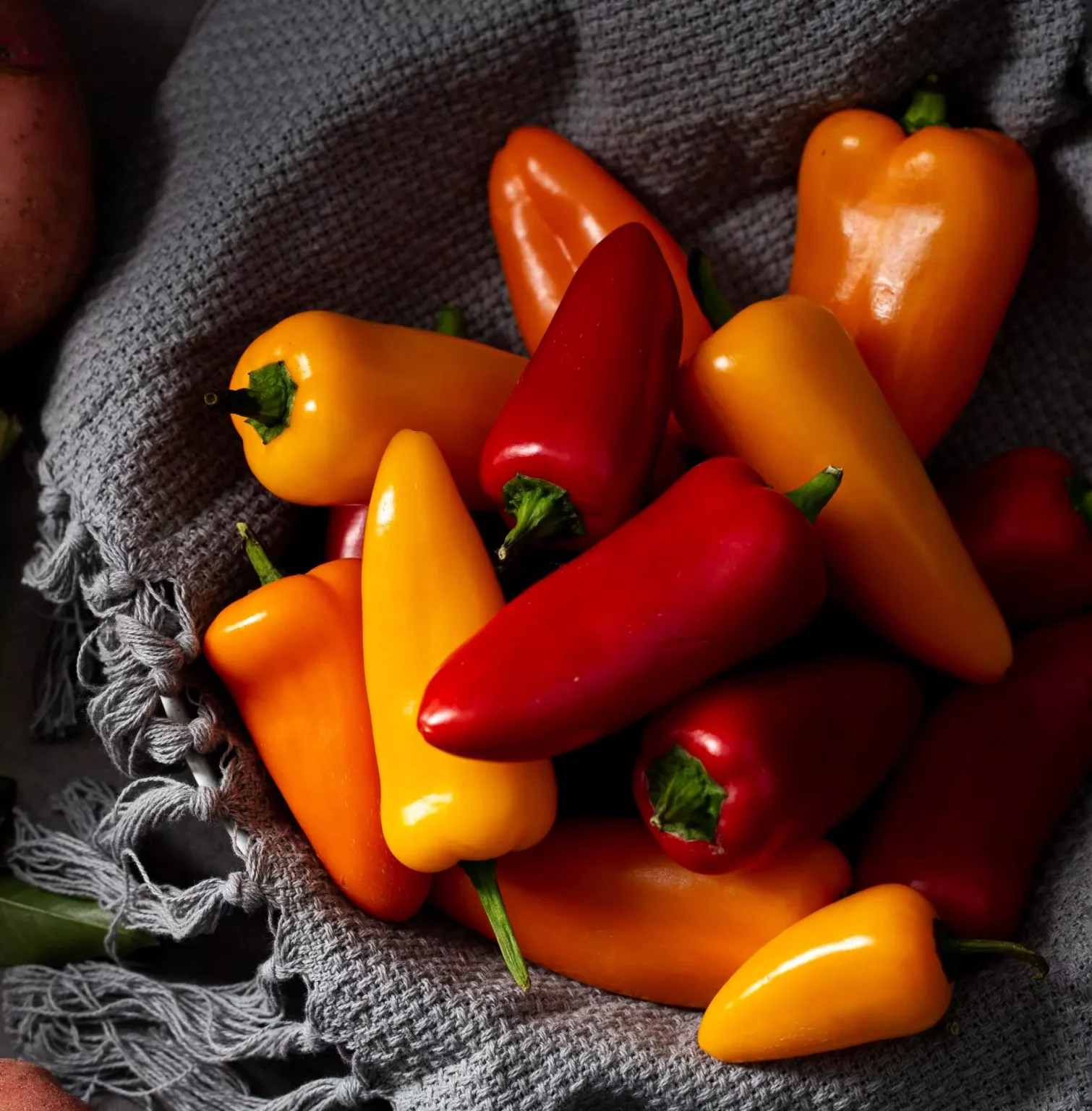 Marmellata di peperoncino e mele: Ricetta passo passo per prepararla in casa Marmellata di peperoncino e mele