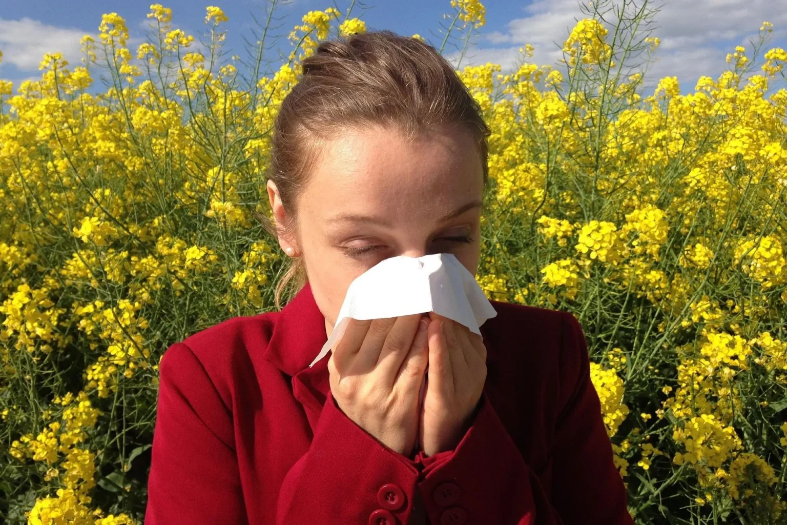 Come contrastare le allergie stagionali con rimedi naturali Come contrastare le allergie stagionali