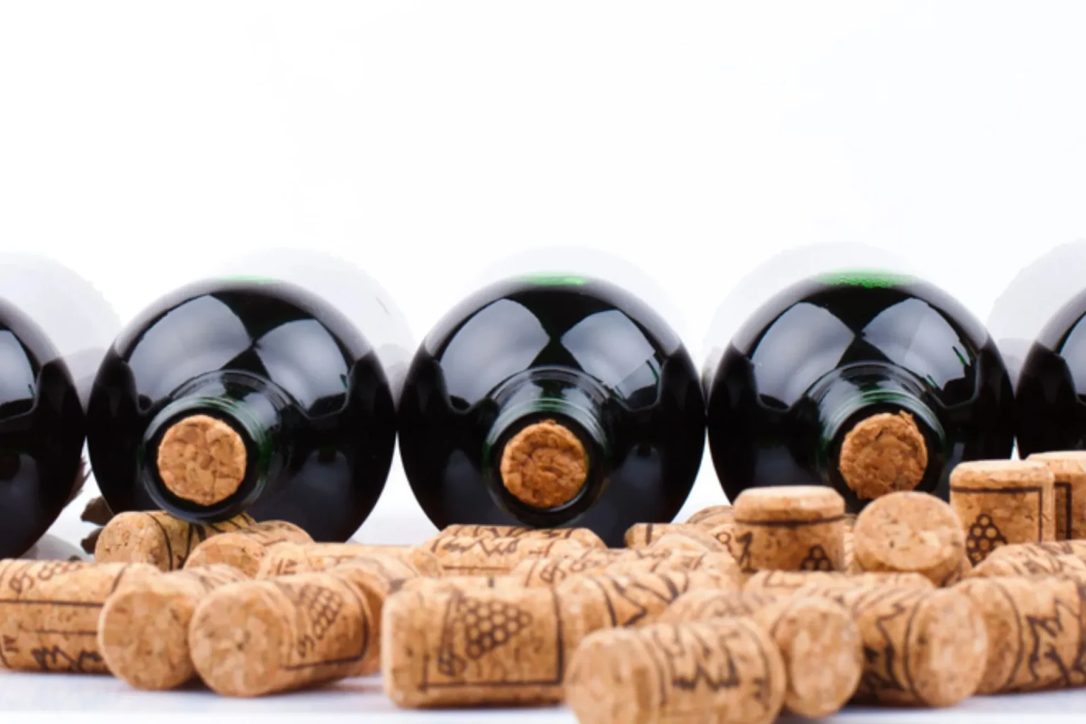 Vino rosso, bianco o spumante? Ecco come conservarli nel modo giusto Enoteca Serafino