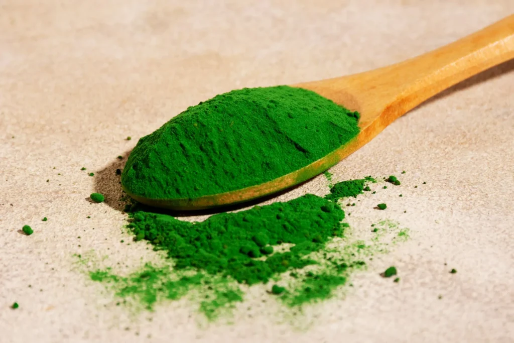 Qual è il compito svolto dalla clorofilla? quale è il compito della clorofilla