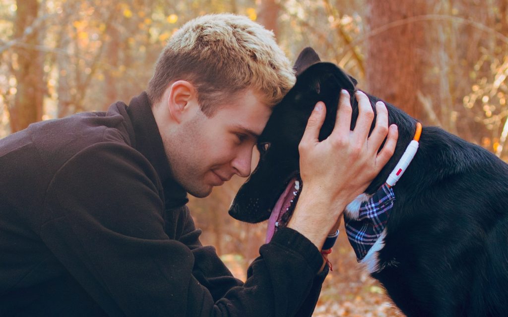 Un ragazo ed il suo cane in un momento di affetto