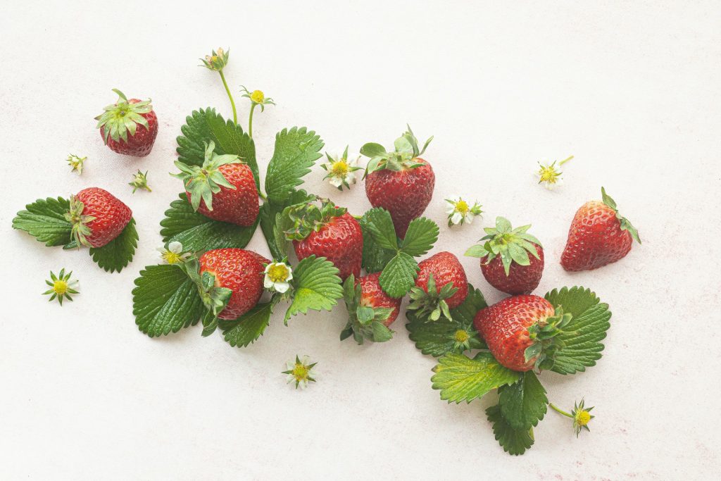 Fragole coltivate in vaso