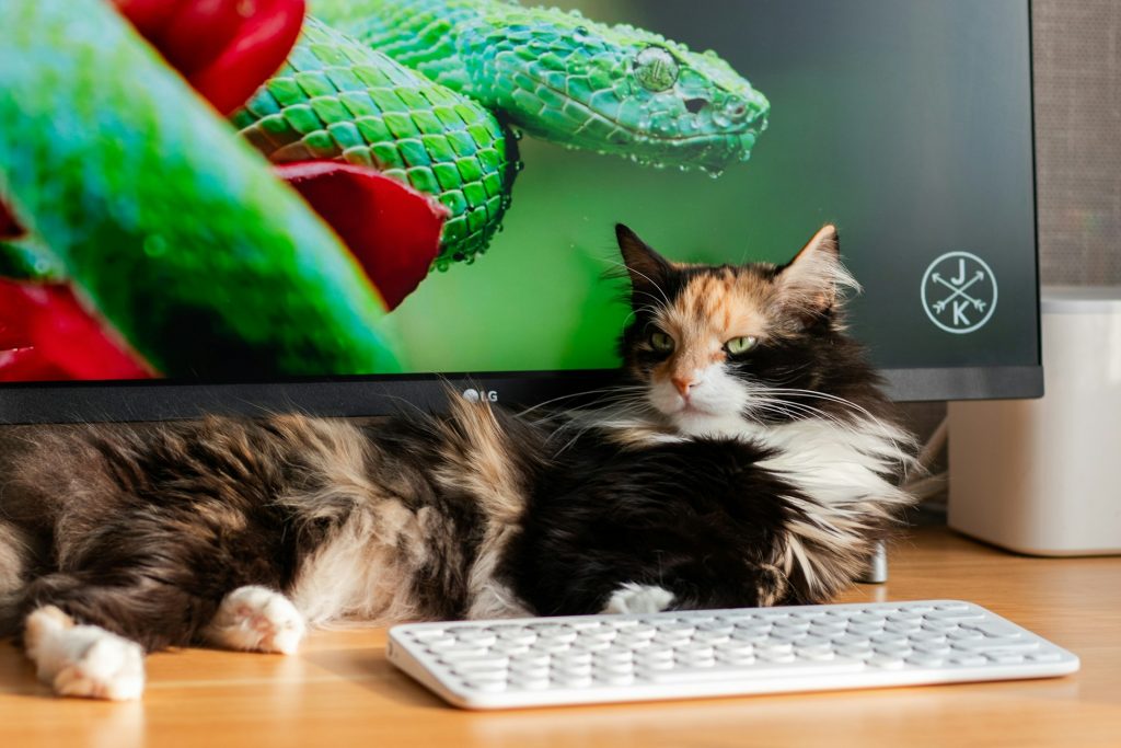 Gatto pezzato sdraiato tra computer e tastiera