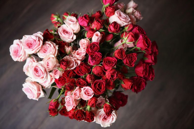 Cosa significa davvero regalare rose rosse a San Valentino (e gli altri fiori) Mazzo di rose rosa e rosse