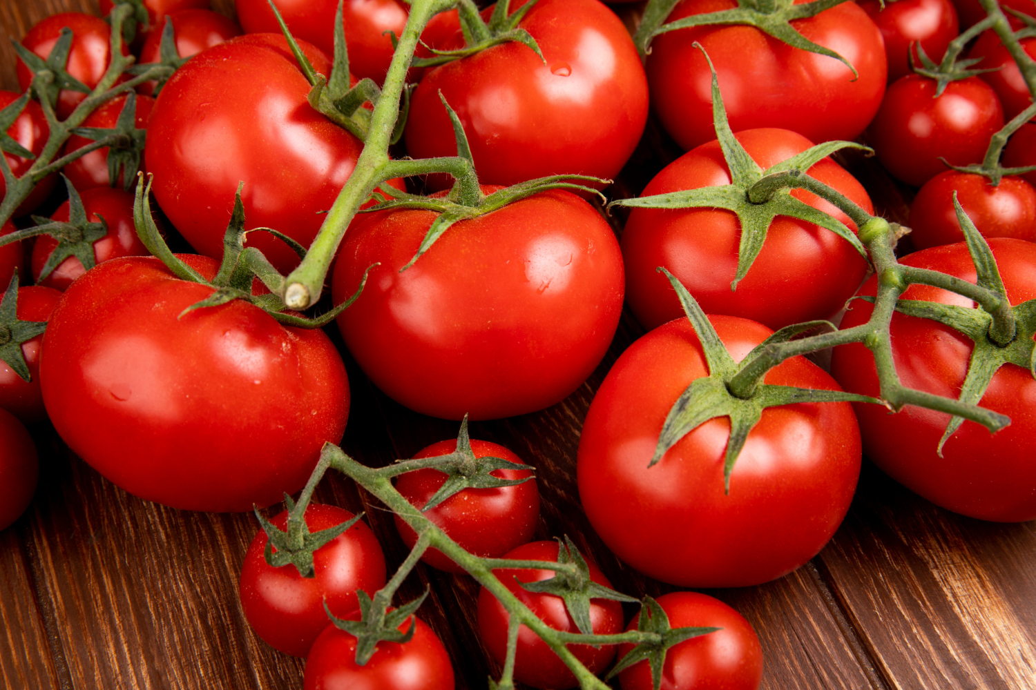 Come conservare i pomodori.