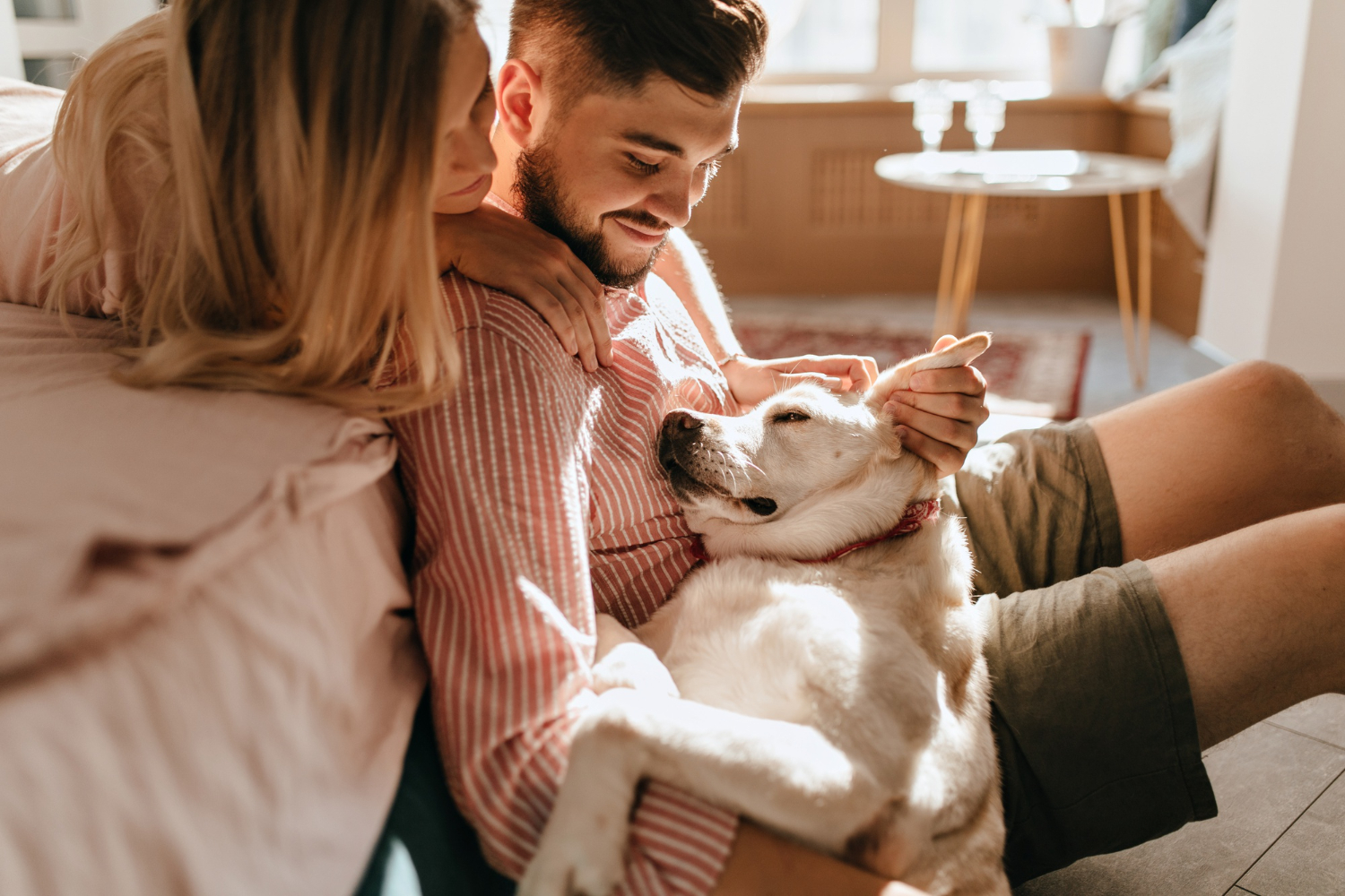 Un cane con i suoi padroni.