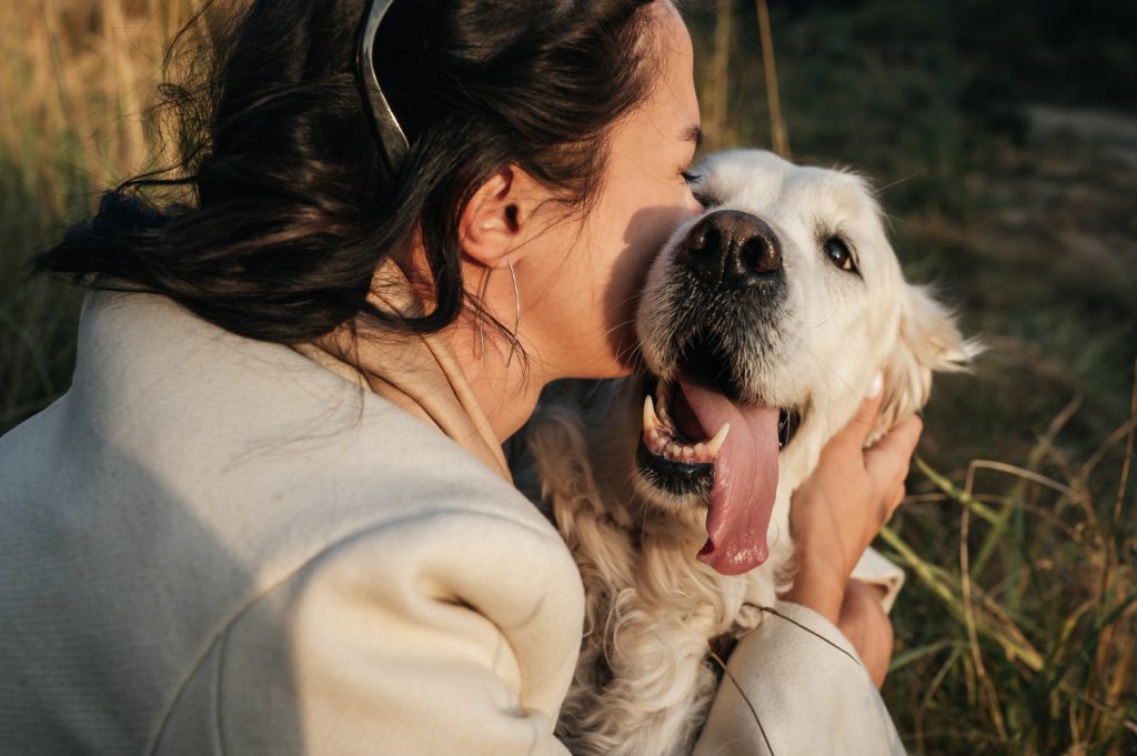 Il tuo cane ti riconosce prima ancora di vederti: il superpotere nascosto nel suo naso Come il cane riconosce il proprio padrone.