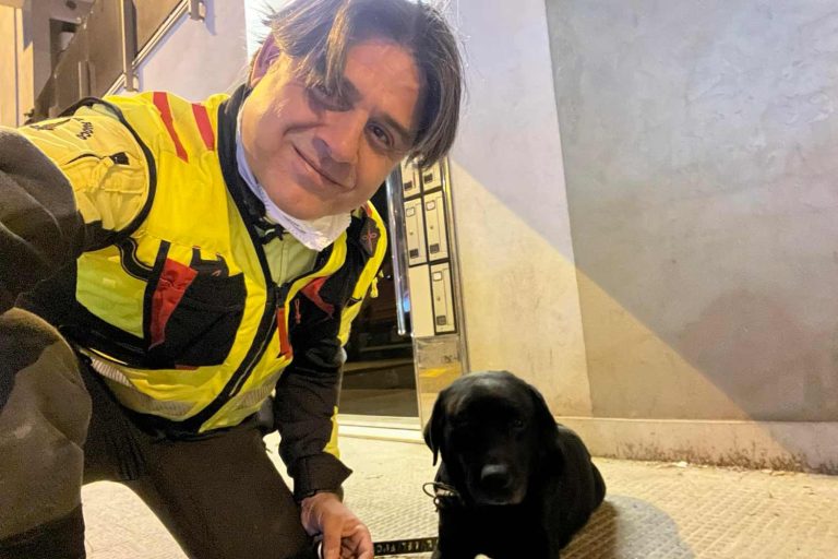Mickey, il labrador eroe va in pensione: ha salvato decine di vite sotto le macerie per 8 anni Alessandro De Giorgi e Mickey