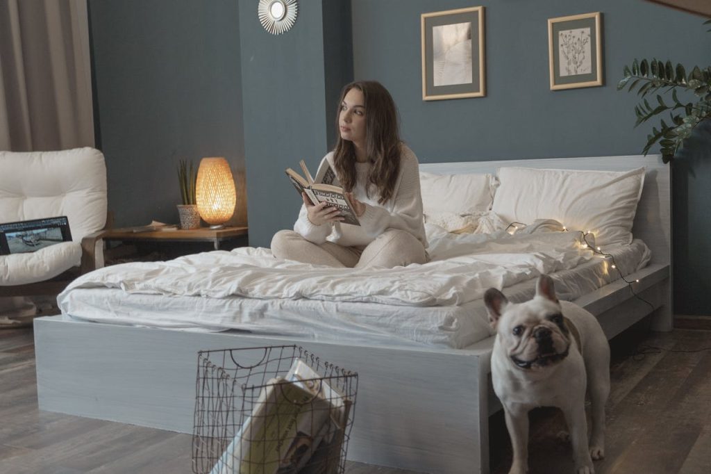 Dormi con il tuo cane o gatto? La scienza rivela un aspetto nascosto che non ti aspetti Dormire con il cane