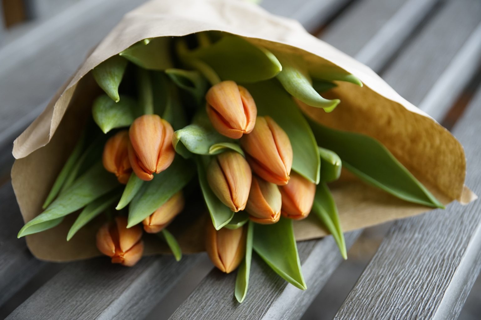 Il trucco dello spillo e altri segreti per far rinascere i tuoi tulipani mazzo di tulipani arancioni (fonte pixabay)