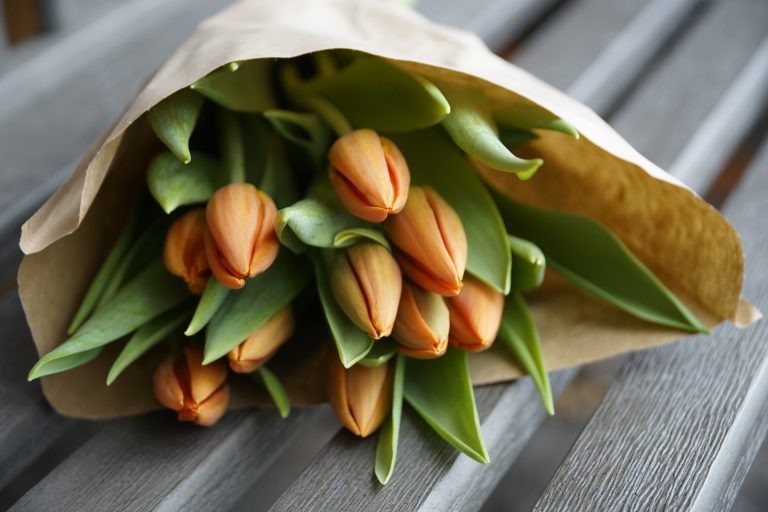 Il trucco dello spillo e altri segreti per far rinascere i tuoi tulipani mazzo di tulipani arancioni (fonte pixabay)
