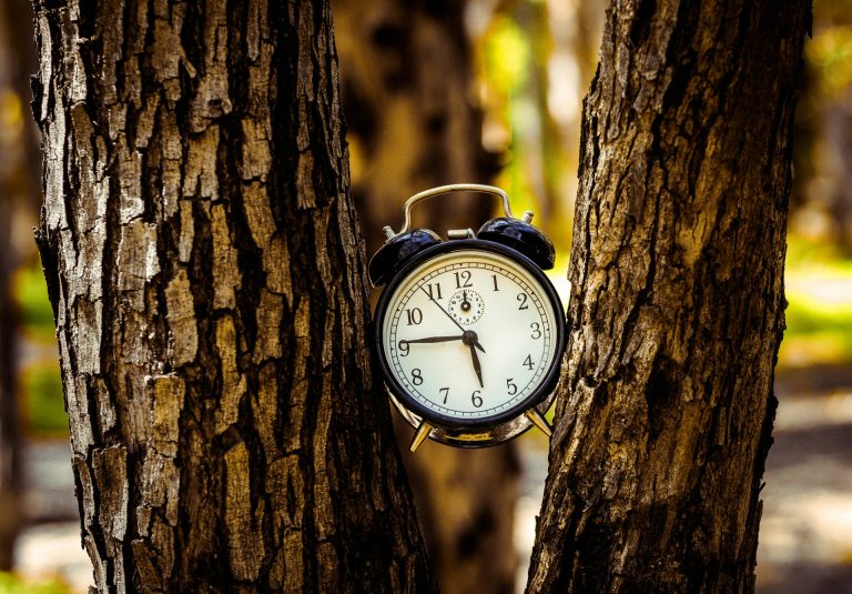 Perché l’ora legale ci ruba un’ora di sonno e aumenta gli infarti (ma nessuno la cancella) Orologio tra due tronchi