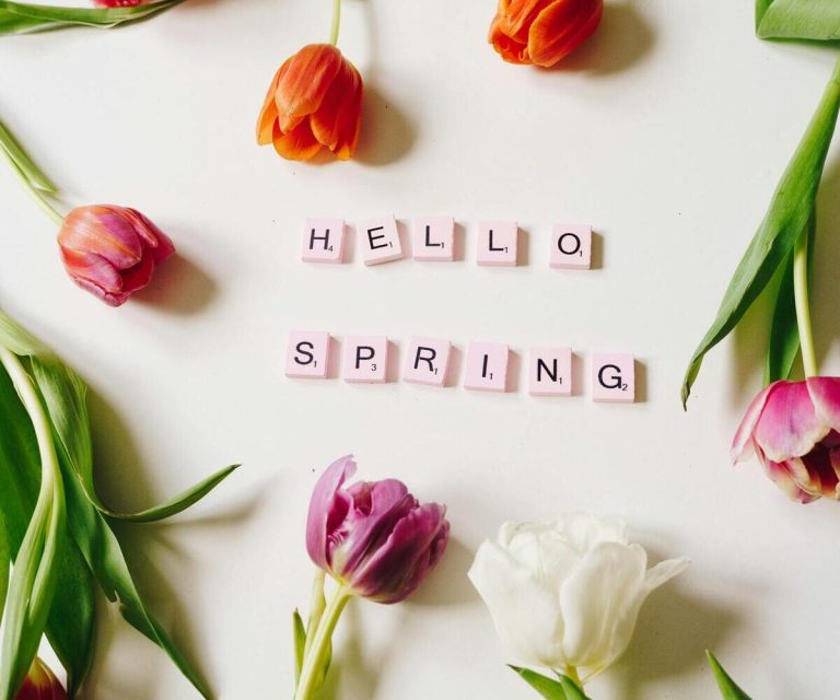 Equinozio di primavera: perché cade il 20 marzo (e non più il 21) Tulipani intorno ad una scritta