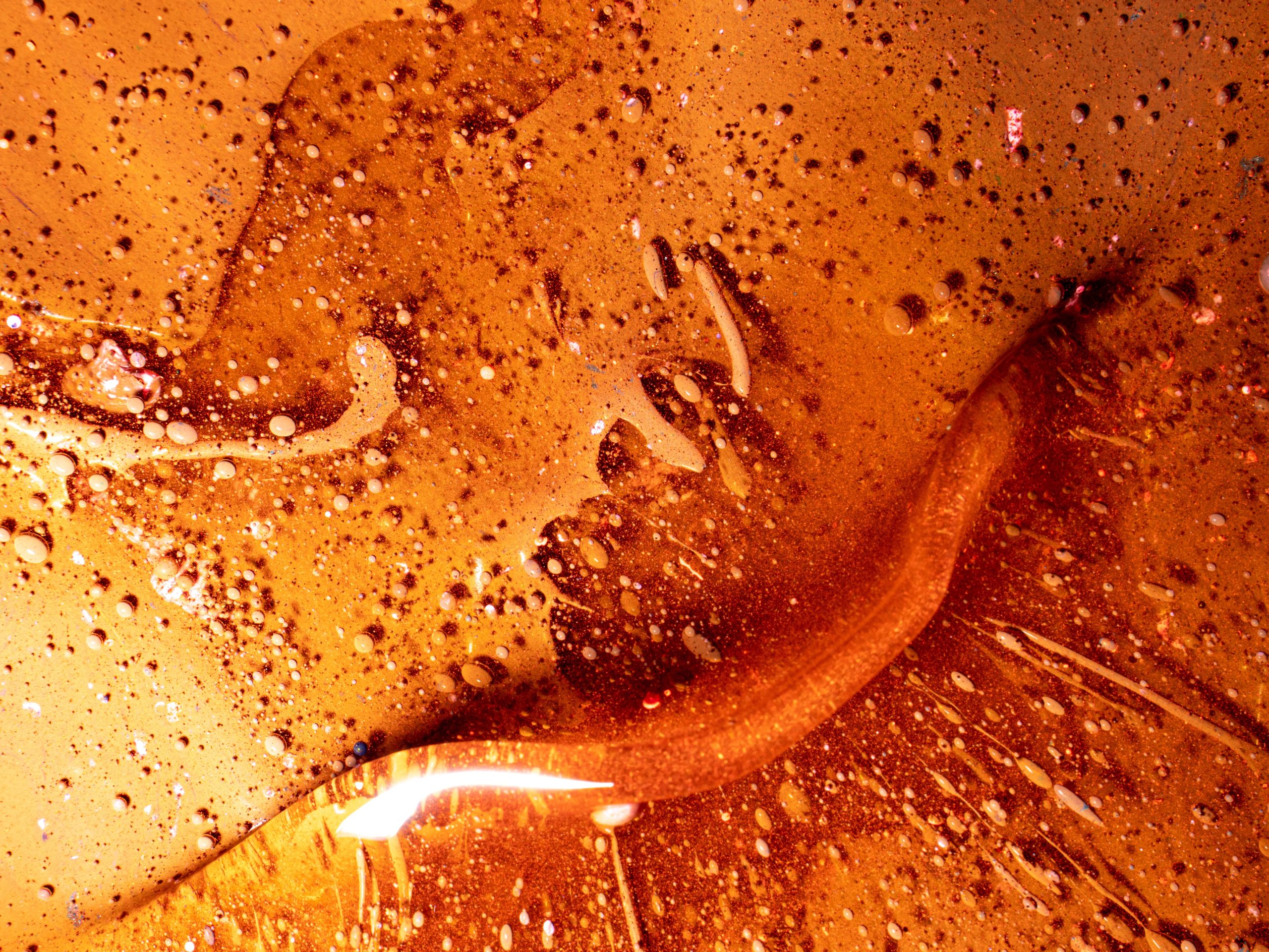miele (fonte foto pixabay)