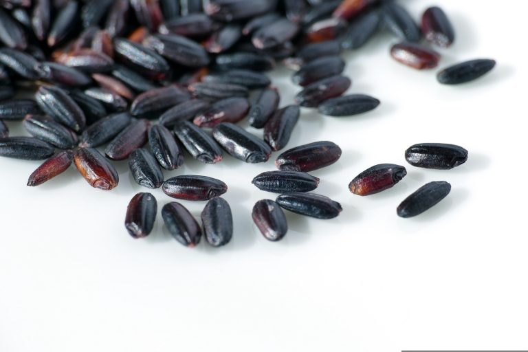 Più antiossidanti dei mirtilli: ecco perché il riso nero è il vero superfood italiano Riso nero (fonte foto pixabay)