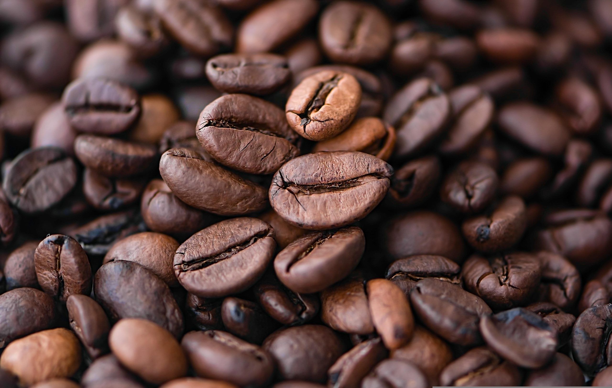 caffè (fonte foto pixabay)
