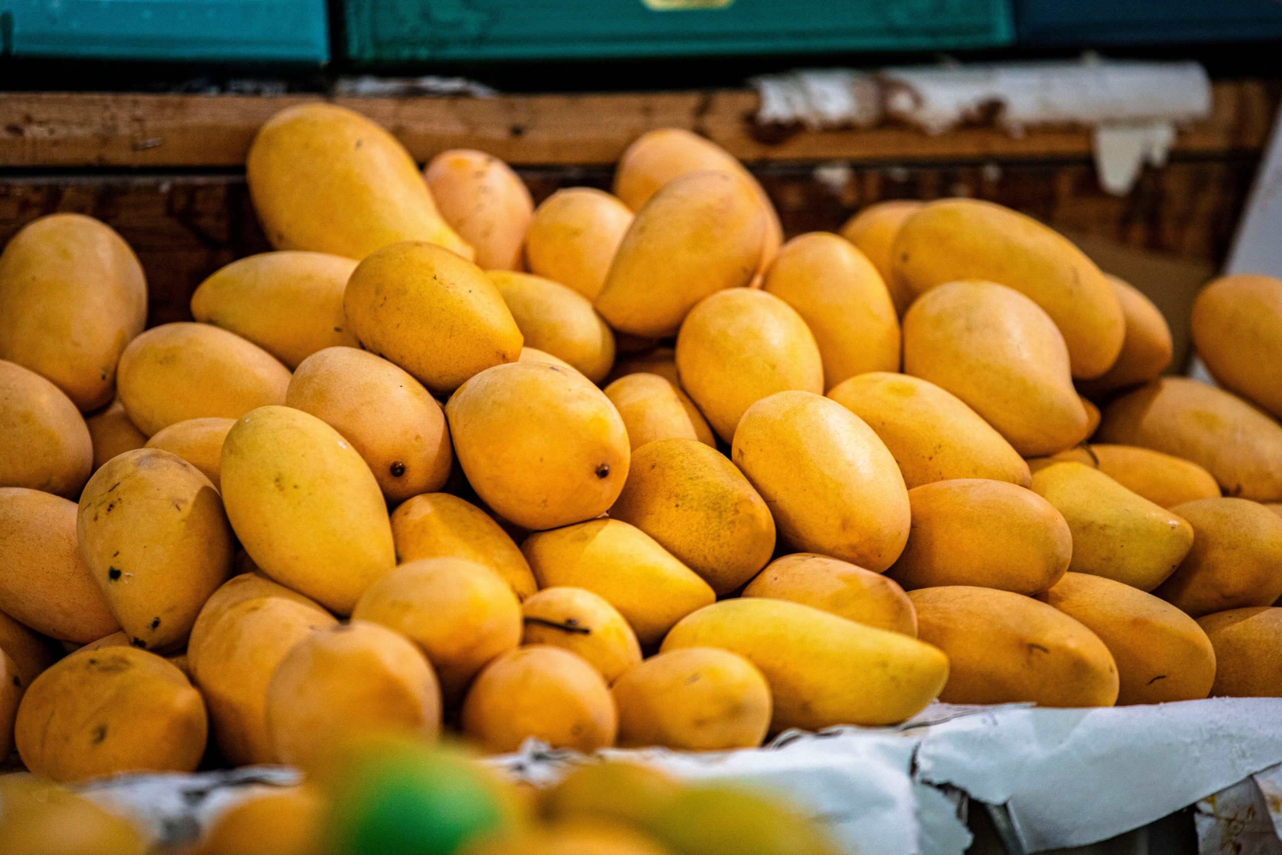 Mango (fonte Pixabay)