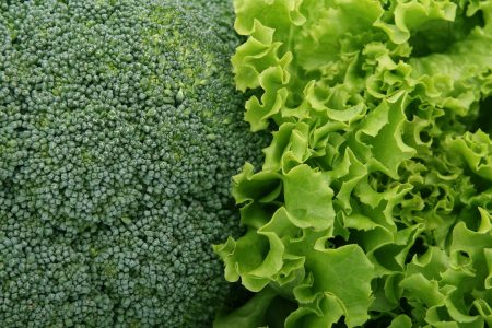Mettere una spugna nel cassetto delle verdure: il segreto contro lo spreco alimentare Insalata (fonte foto pixabay)