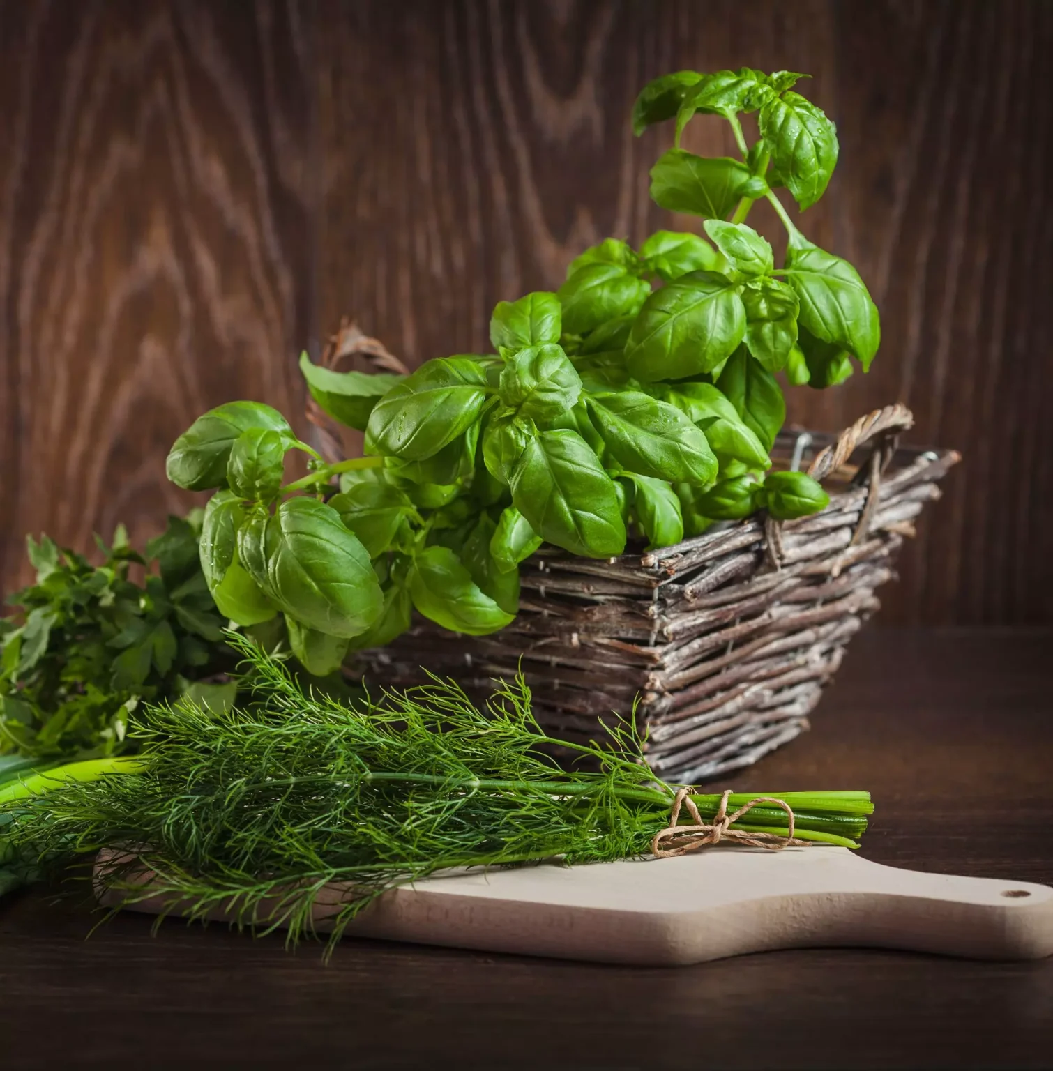Come conservare le erbe aromatiche