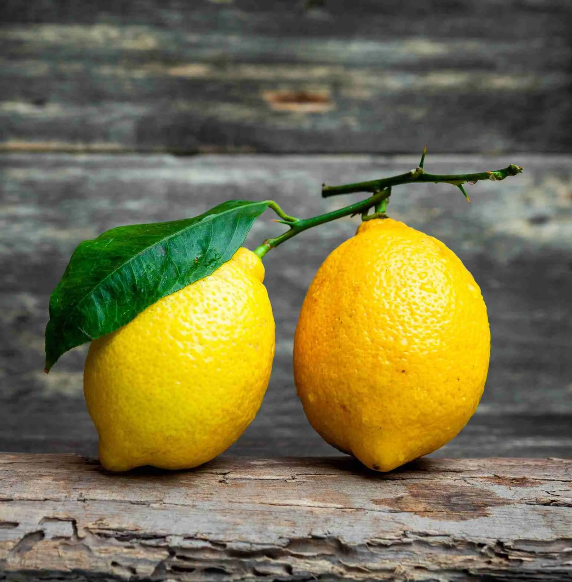 Come conservare le bucce di limone
