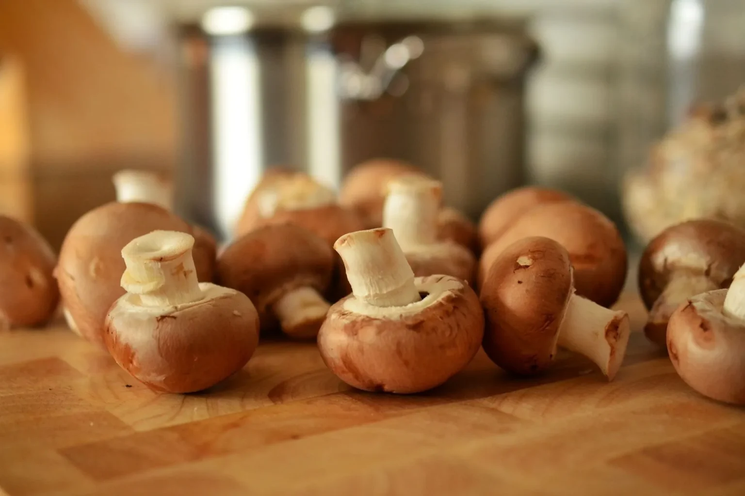 Come conservare i funghi freschi