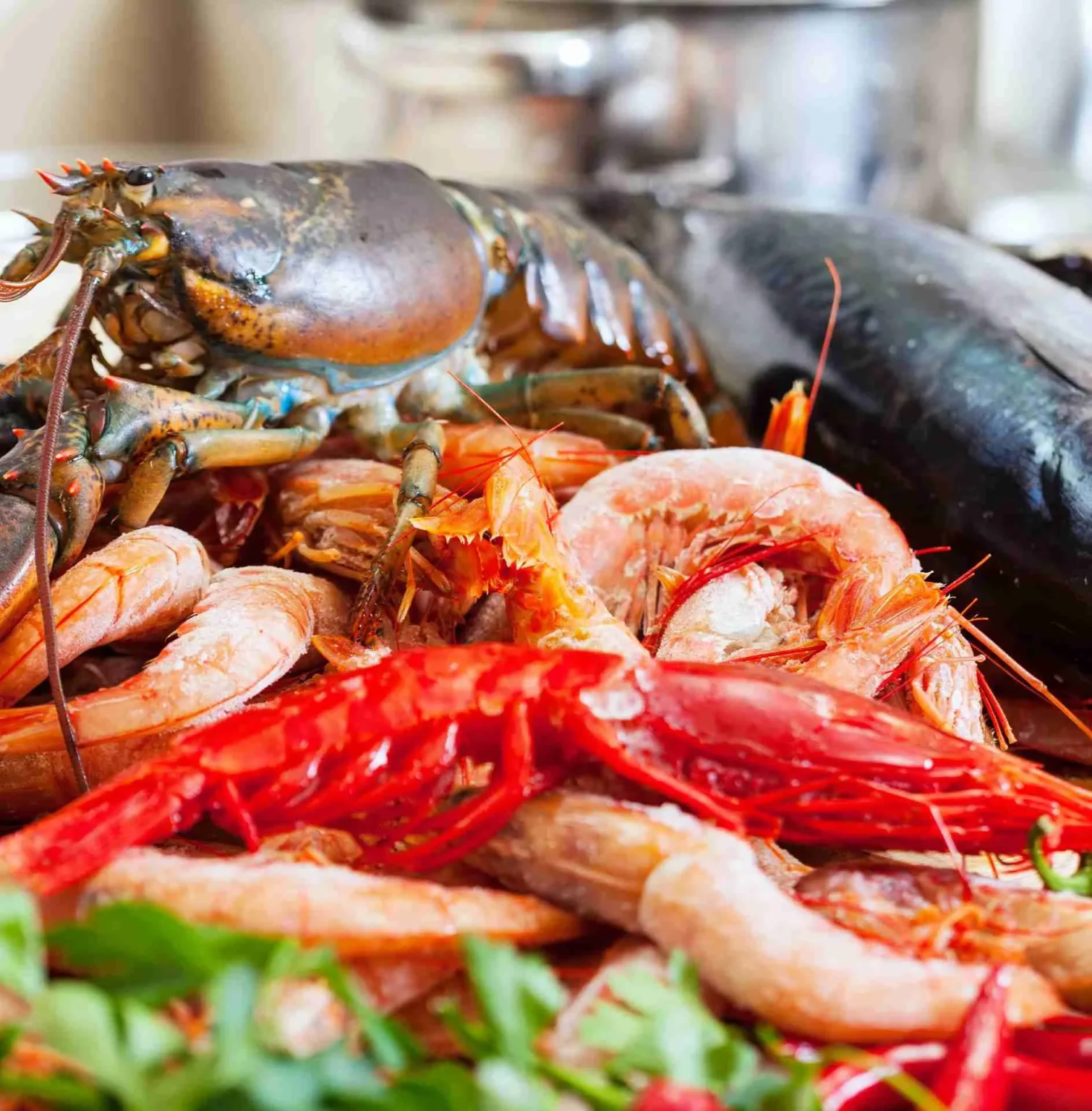 Come conservare i frutti di mare