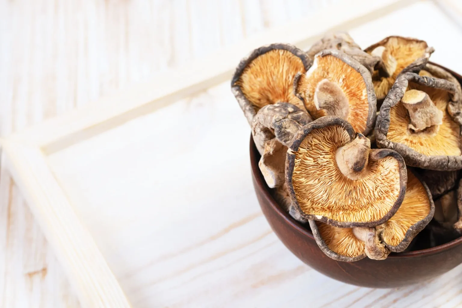 Come essiccare i funghi