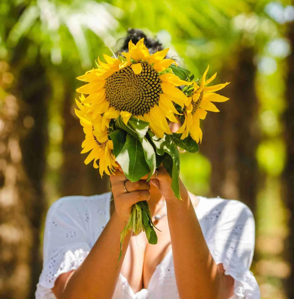 Come conservare i girasole