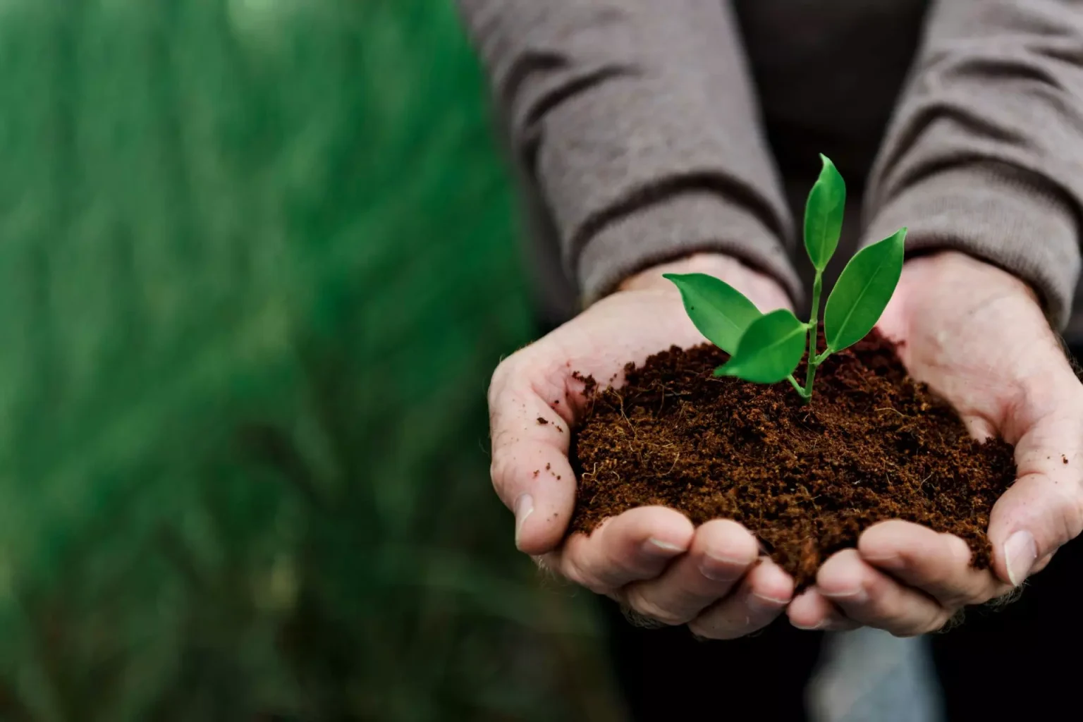 Capelli sani alimentazione