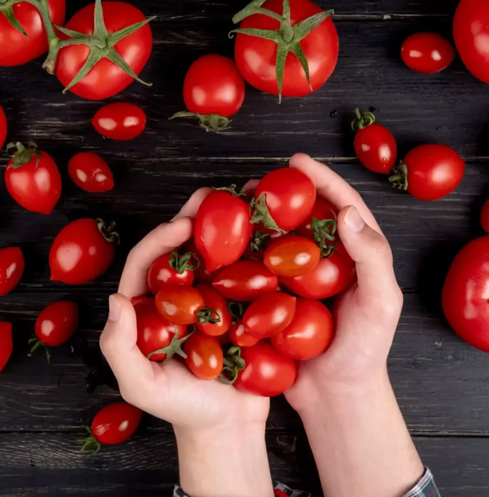 Come conservare i semi di pomodoro