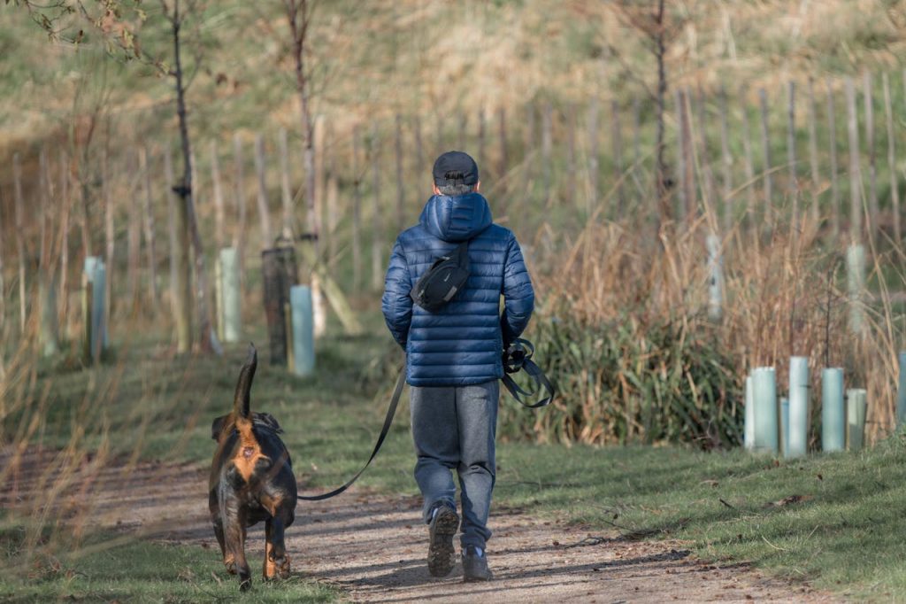 Andare a passeggio con un dog sitter