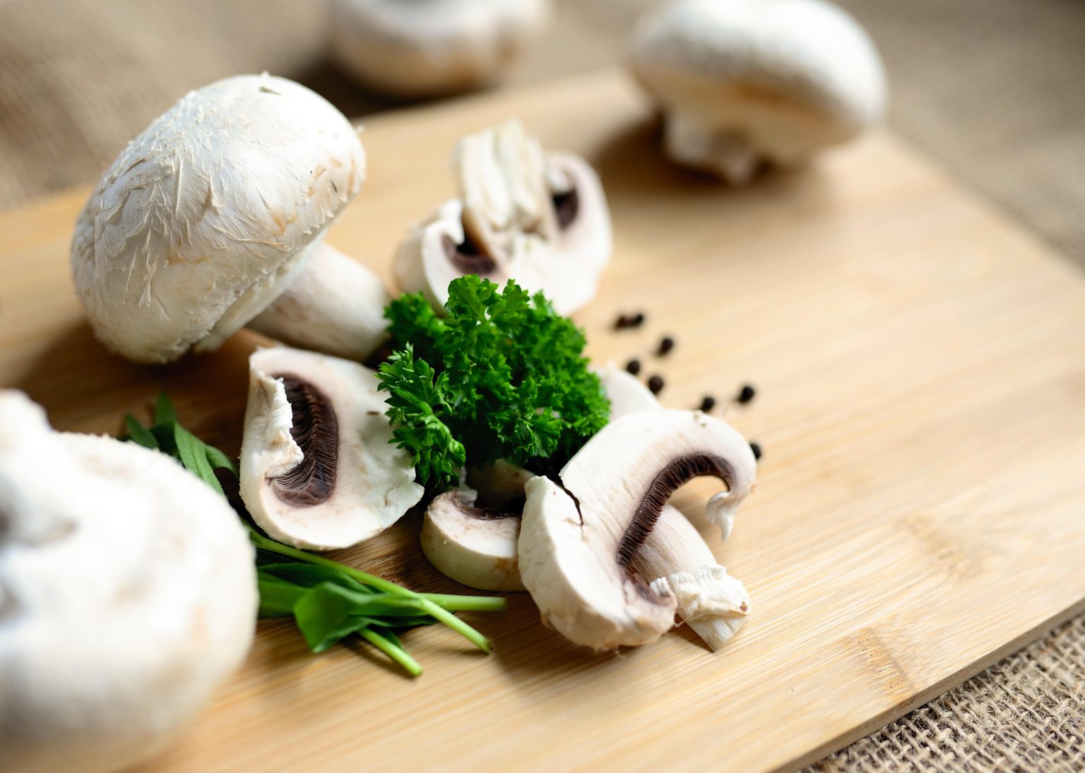 funghi (fonte pixabay)