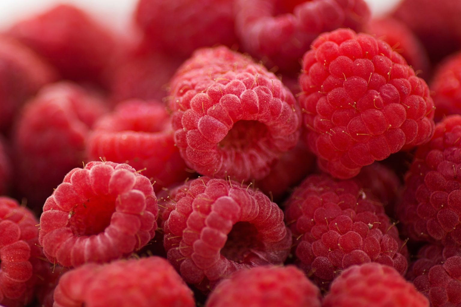 frutti rossi (fonte foto pixabay)
